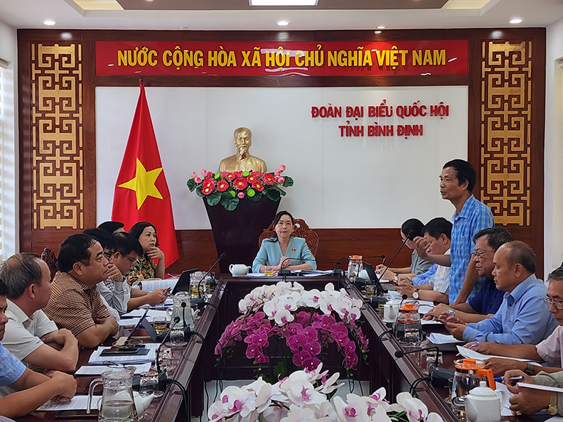 Đoàn ĐBQH tỉnh Bình Định lấy ý kiến góp ý vào Dự thảo Luật Đất đai (sửa đổi)