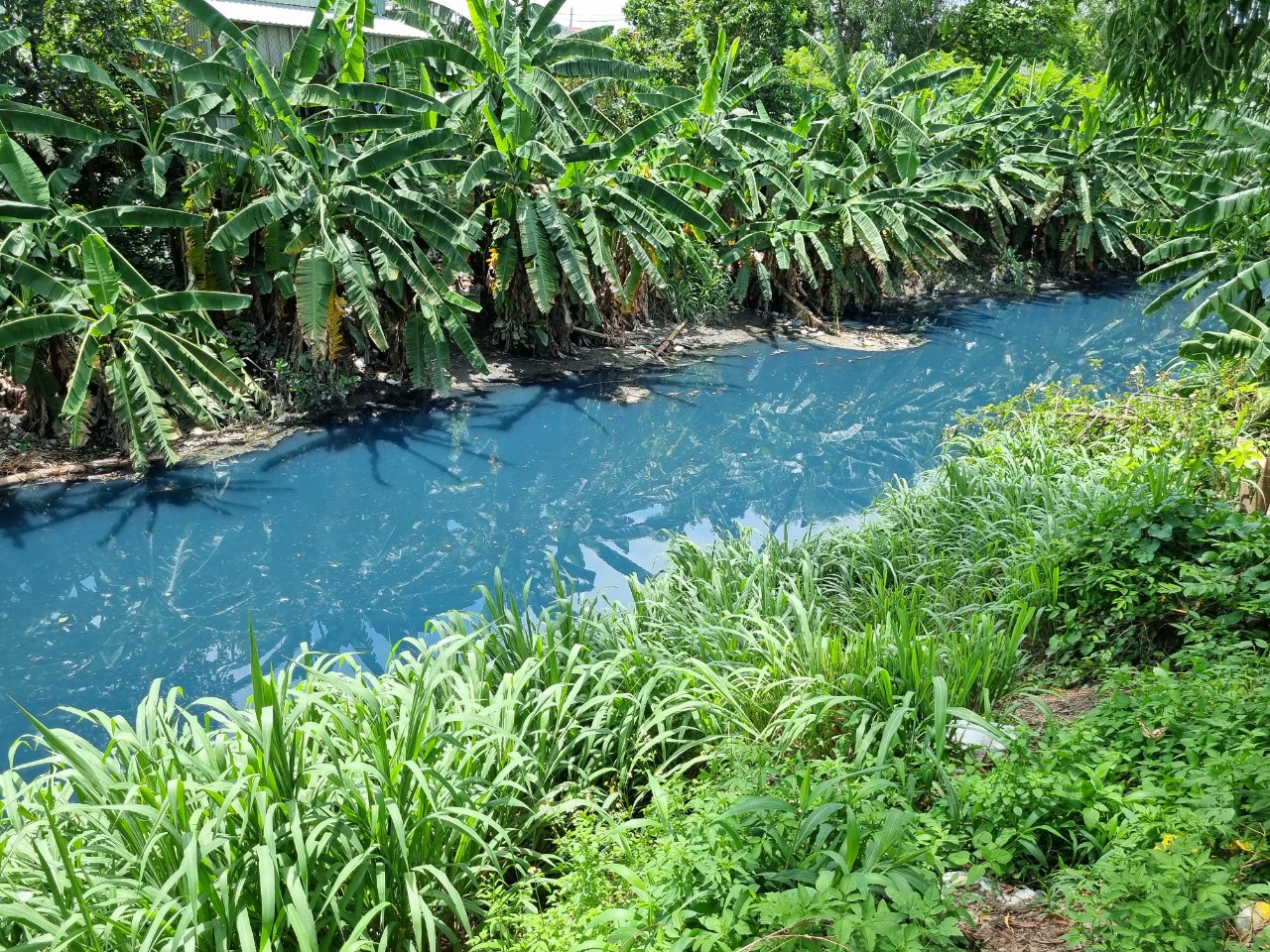 Ô nhiễm ở các khu dân cư xã chuẩn nông thôn mới xã Đông Thạnh, huyện Hóc Môn