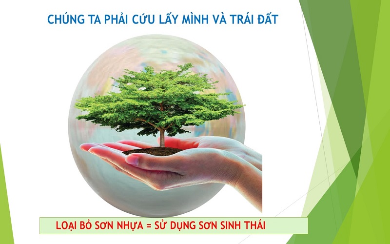 Những tác hại của sơn nhựa với môi trường và sức khỏe con người