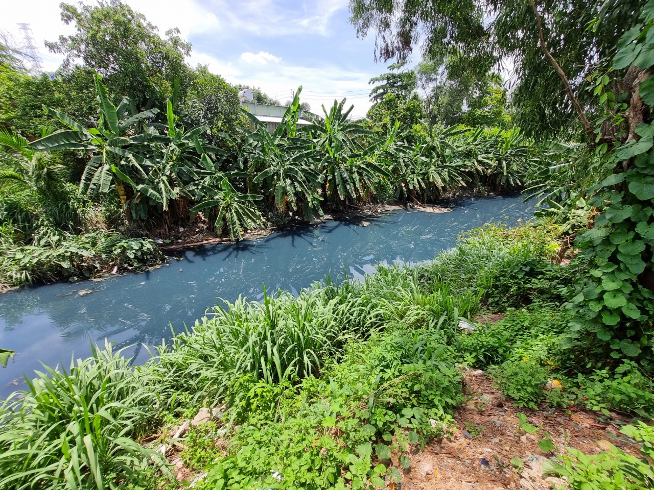 Ô nhiễm ở các khu dân cư xã chuẩn nông thôn mới xã Đông Thạnh, huyện Hóc Môn