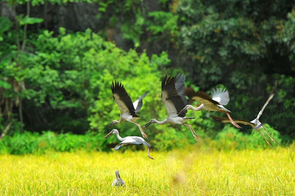 Khám phá Ninh Bình - vùng đất hấp dẫn khách du lịch