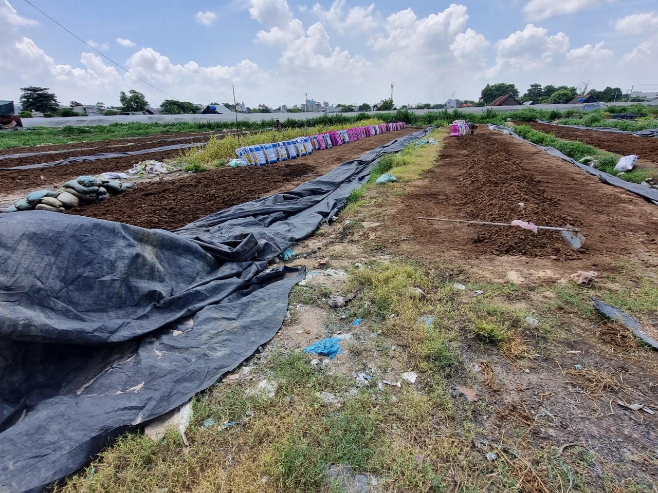 Ô nhiễm ở các khu dân cư xã chuẩn nông thôn mới xã Đông Thạnh, huyện Hóc Môn