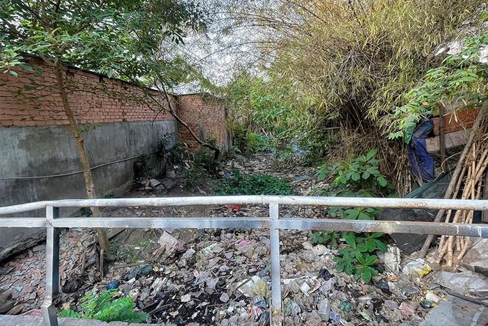 Sài Gòn Xanh phủ xanh từng kênh rạch