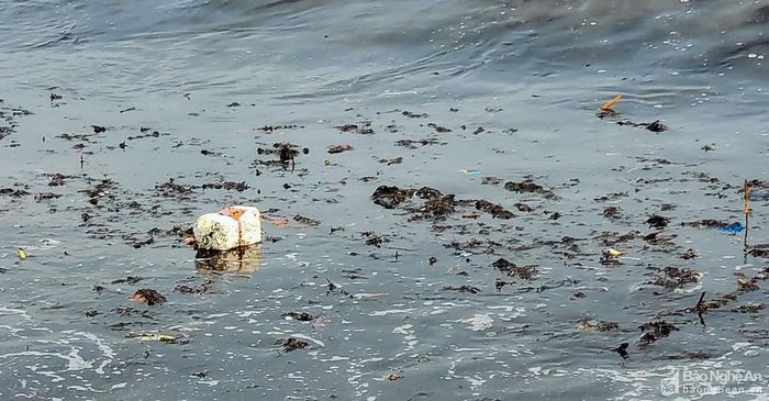 'Mùn biển' xâm nhập Cửa Lò, cảnh báo tình trạng rác thải đại dương