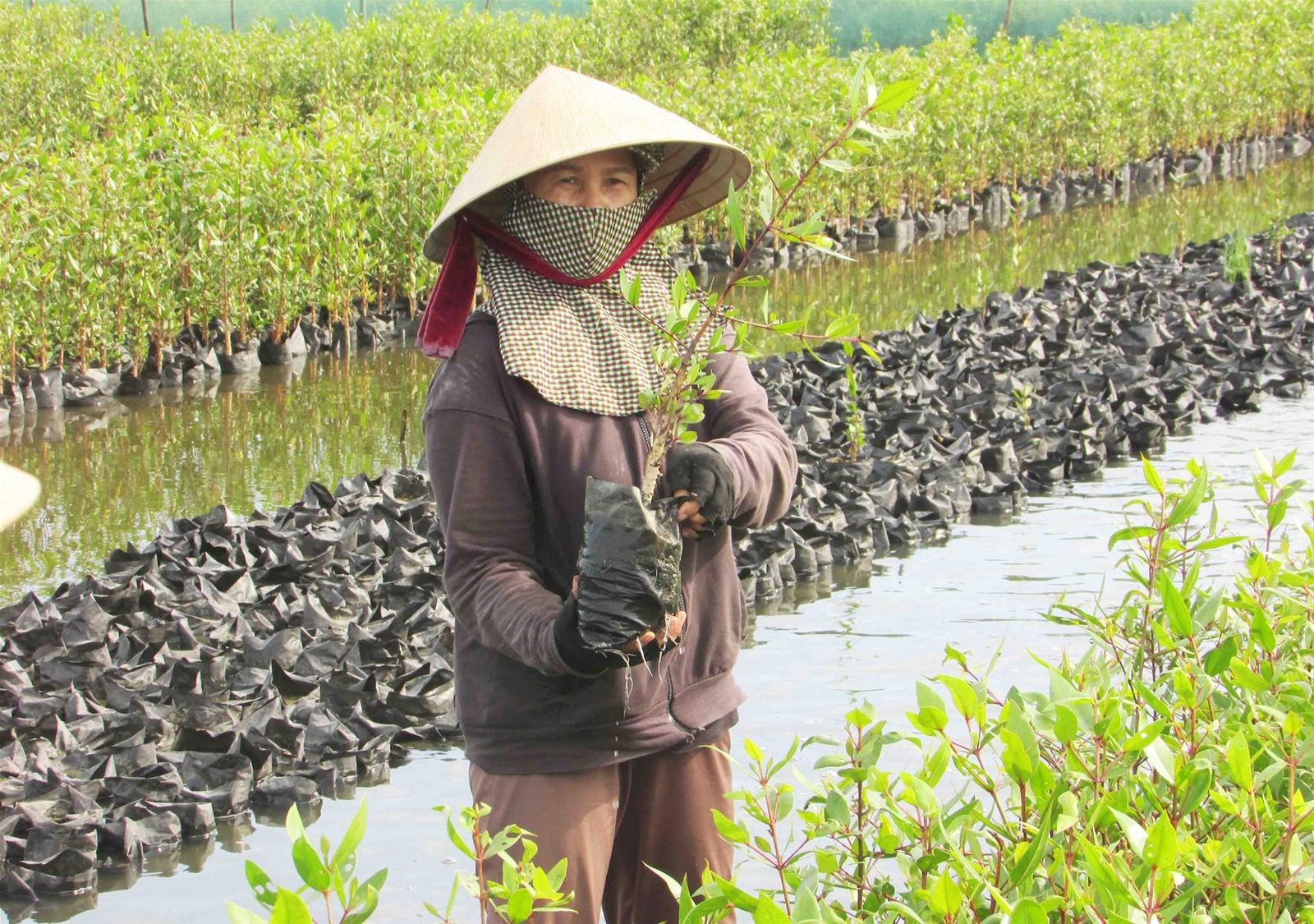 Nâng cao vai trò của phụ nữ trong việc ứng phó BĐKH