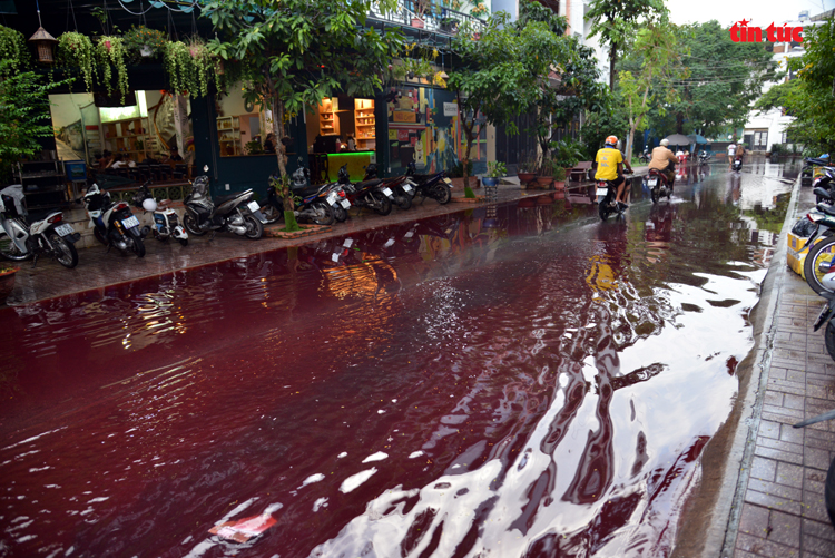 TP Hồ Chí Minh: Xuất hiện màu nước lạ bất thường sau mưa lớn