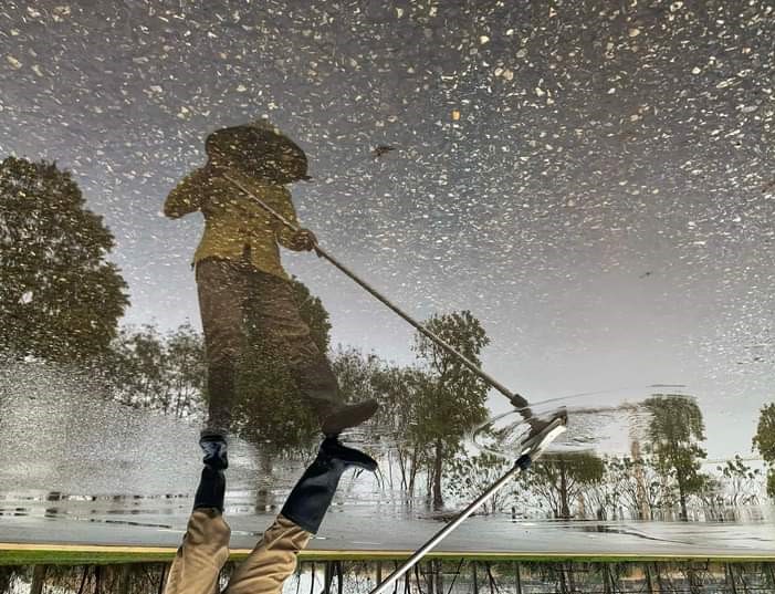 Nét đẹp quanh ta!