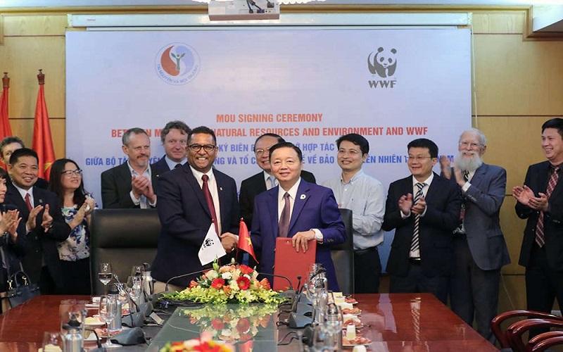 Vai trò của các tổ chức quốc tế trong tiến trình xây dựng quy định về trách nhiệm mở rộng của nhà sản xuất ở Việt Nam