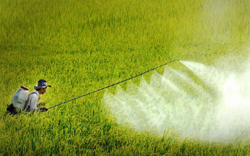 Môi trường nông nghiệp đang bị đe doạ