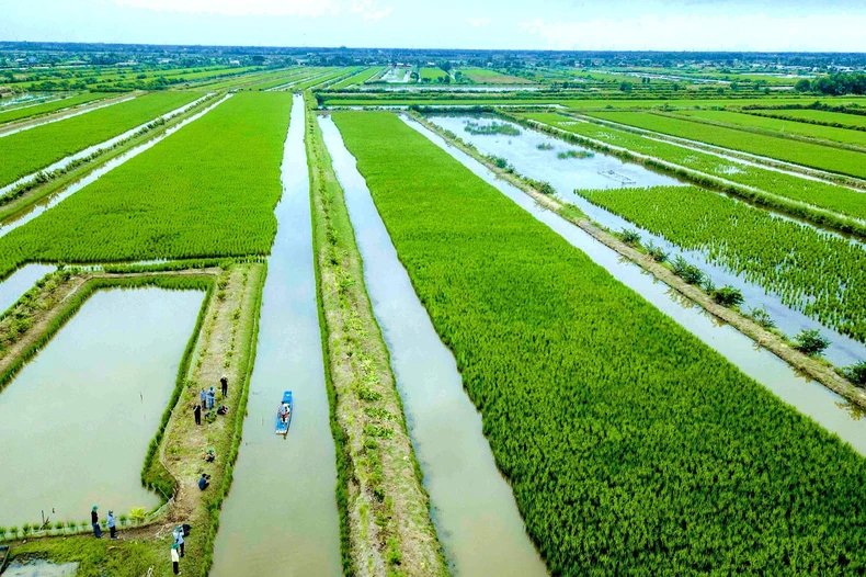 Gắn kết phát triển du lịch TP. Hồ Chí Minh với vùng châu thổ Cửu Long