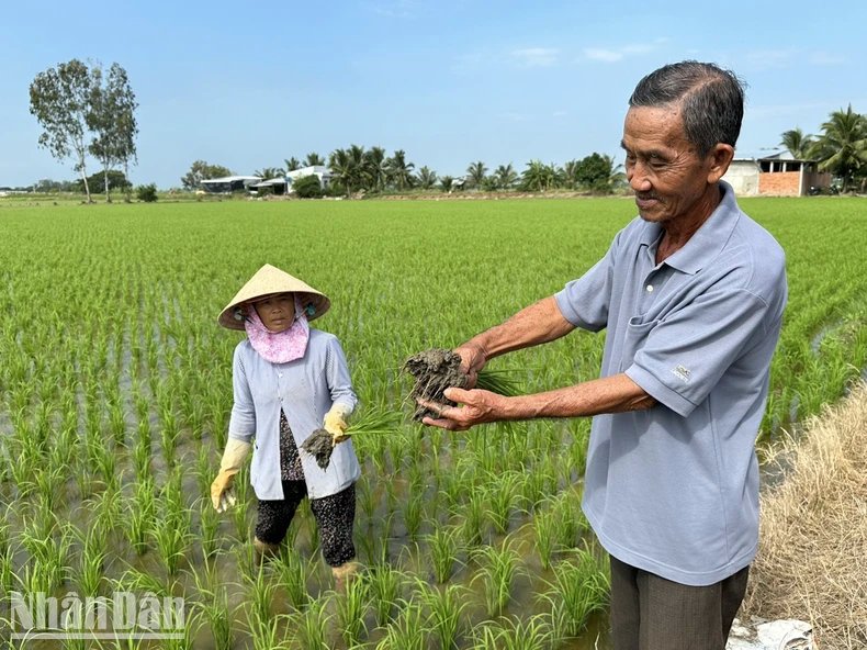 Sóc Trăng giảm khí phát thải nhà kính 170.722 tấn CO2
