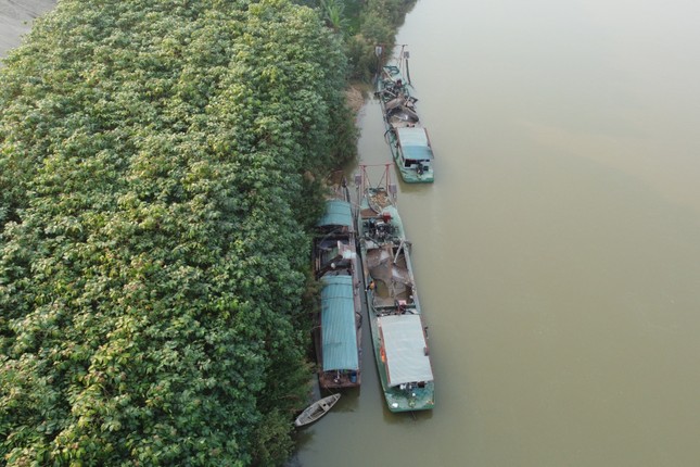 Yêu cầu dừng khai thác đối với mỏ cát ở Lào Cai