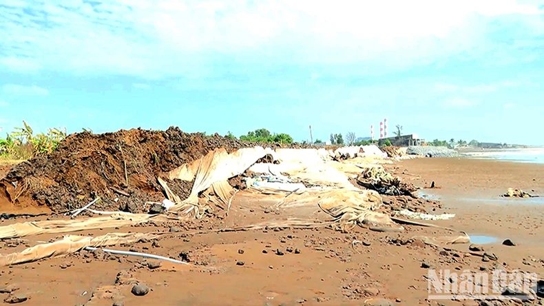 Trà Vinh: Công bố tình huống khẩn cấp sạt lở tuyến bờ bao ngăn triều cường khu vực Cồn Nhàn