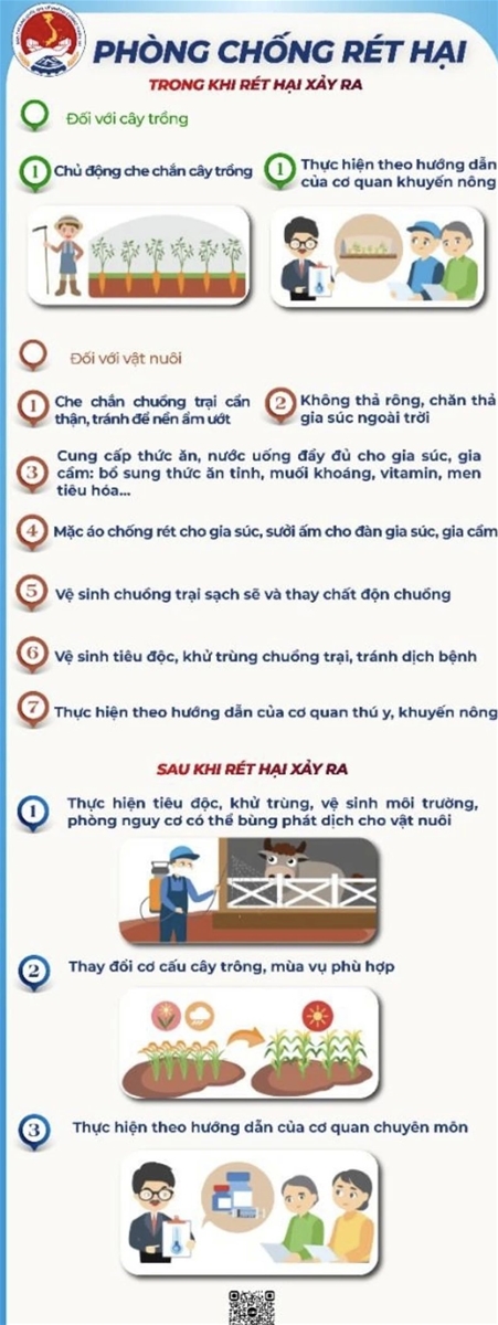 Kỹ năng phòng, chống rét đậm, rét hại