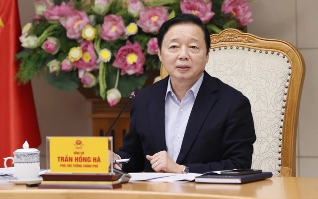 Phấn đấu xây dựng bến cảng trung chuyển quốc tế Cần Giờ