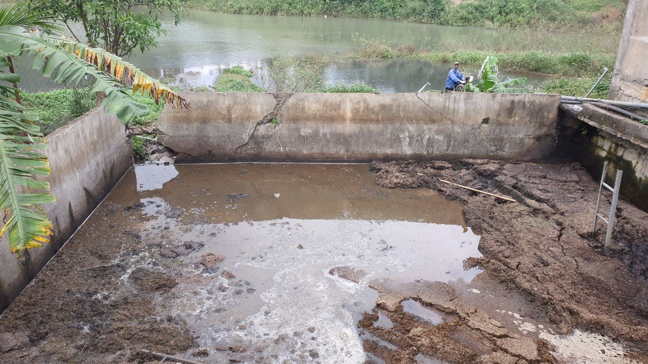 Phạt hai cá nhân chế biến thủy hải sản do xả thải vượt mức ra môi trường