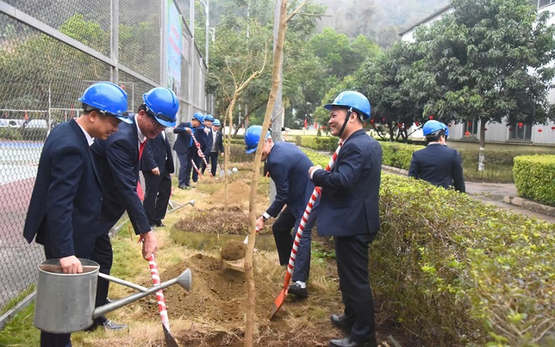 Công ty Gang thép Cao Bằng: Hưởng ứng “Tết trồng cây đời đời nhớ ơn Bác Hồ”