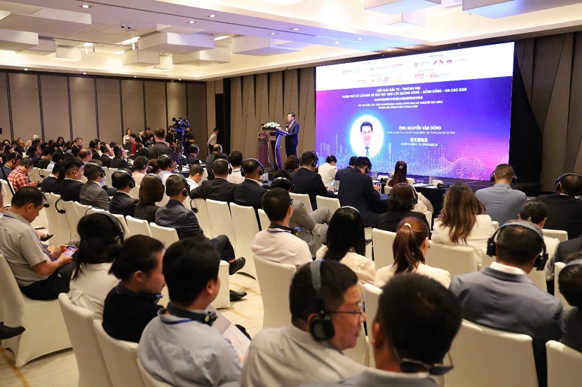 TP. Hồ Chí Minh và Vùng Vịnh lớn Trung Quốc thúc đẩy hợp tác trong nhiều lĩnh vực
