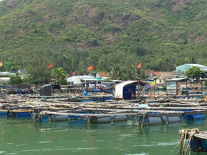 Nỗi niềm của biển
