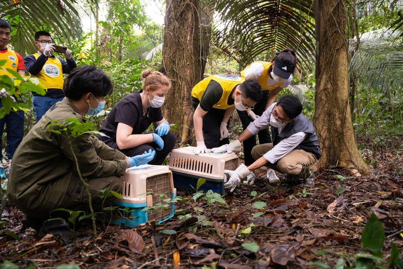 Ngôi nhà thứ hai của muông thú