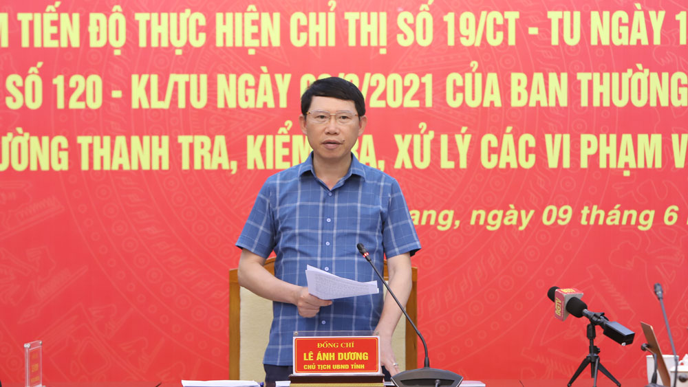 Bắc Giang: Khẩn trương rà soát, xử lý dứt điểm vi phạm về đất đai