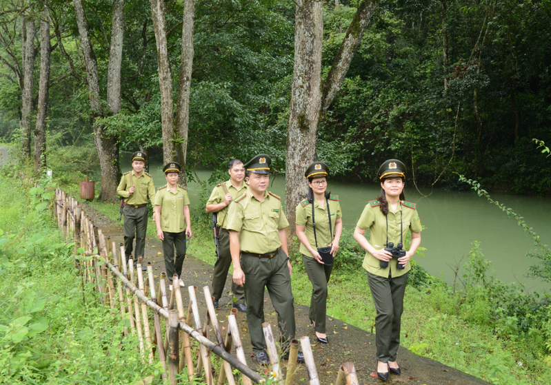 Tăng cường quản lý, bảo vệ và phát triển rừng