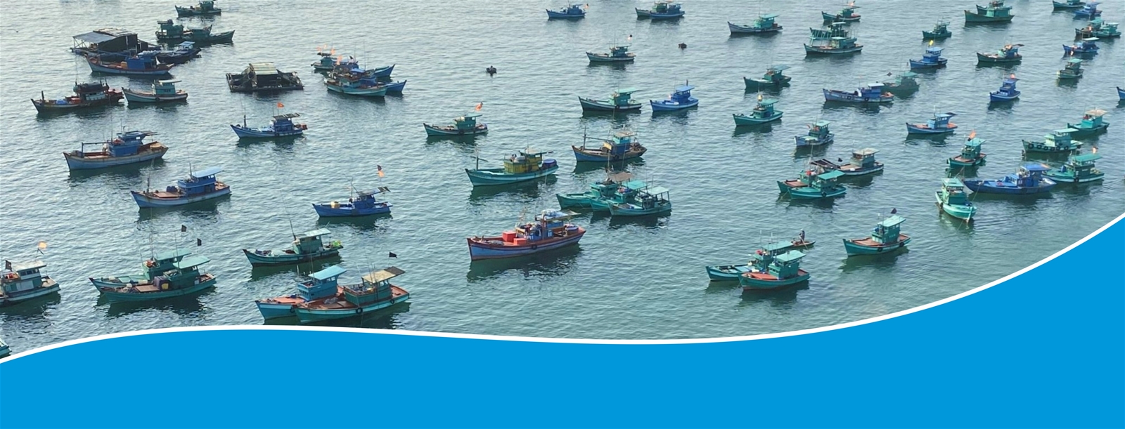 Mạnh giàu từ biển, đảo quê hương 