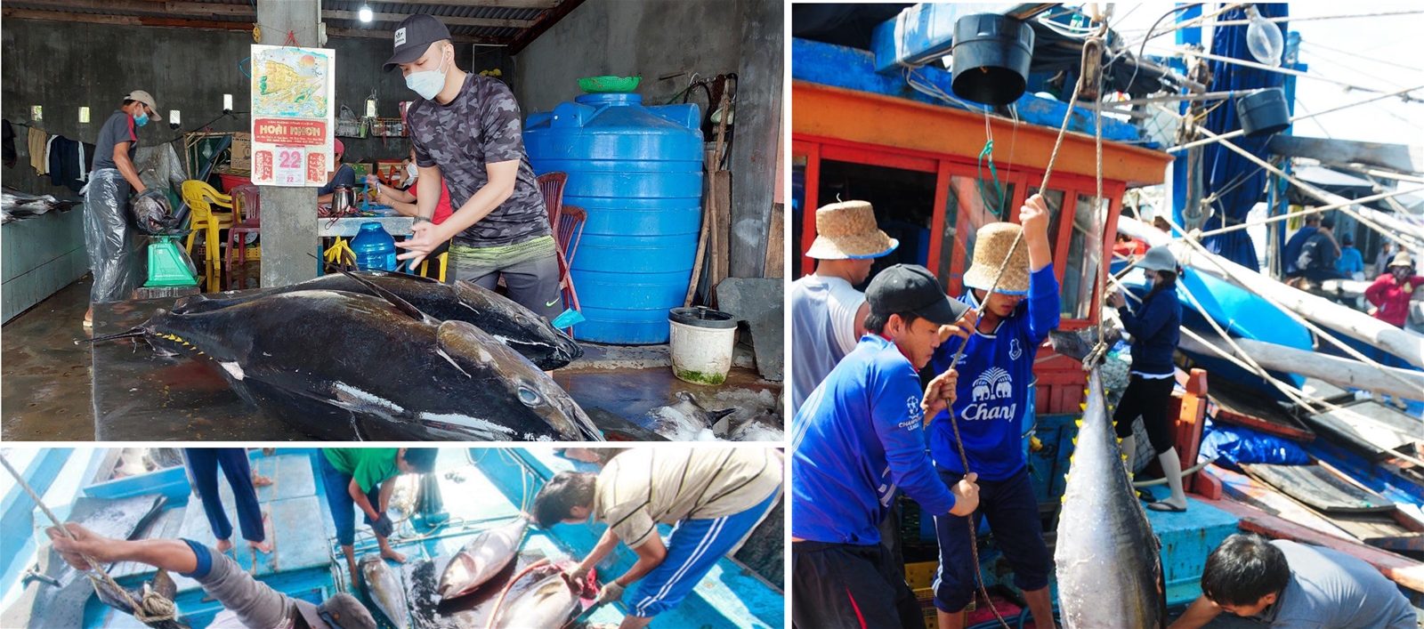 Mạnh giàu từ biển, đảo quê hương 