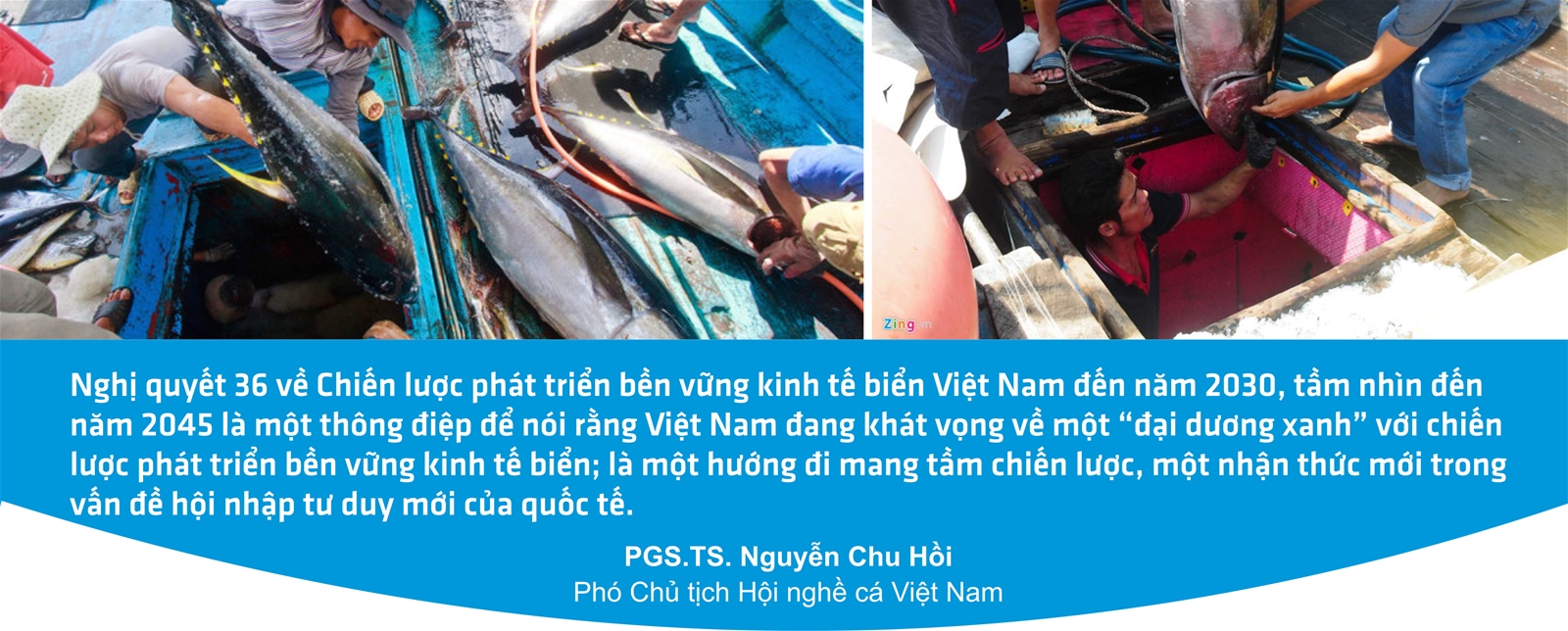 Mạnh giàu từ biển, đảo quê hương 