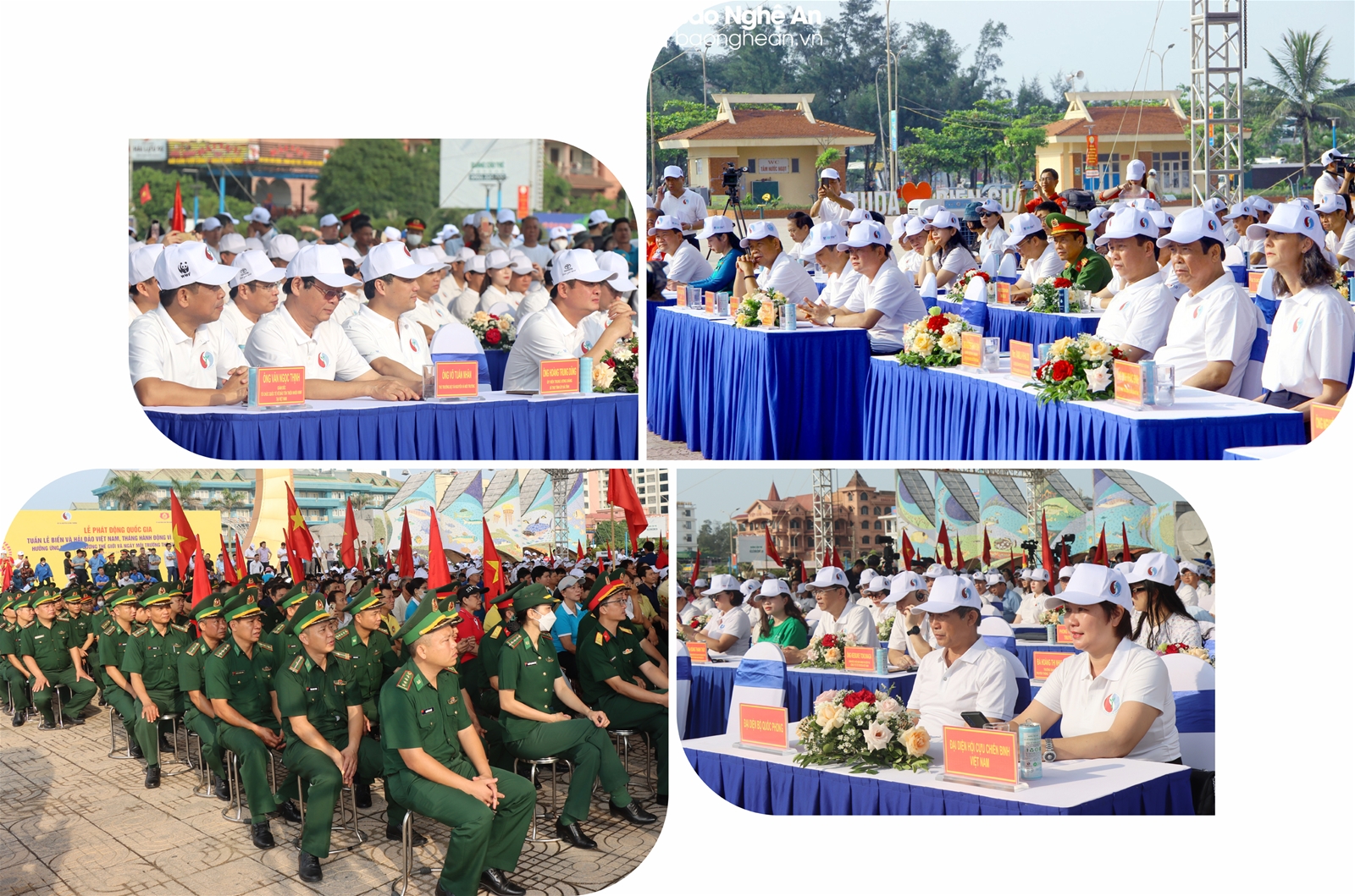 Chung tay hành động, bảo vệ đại dương