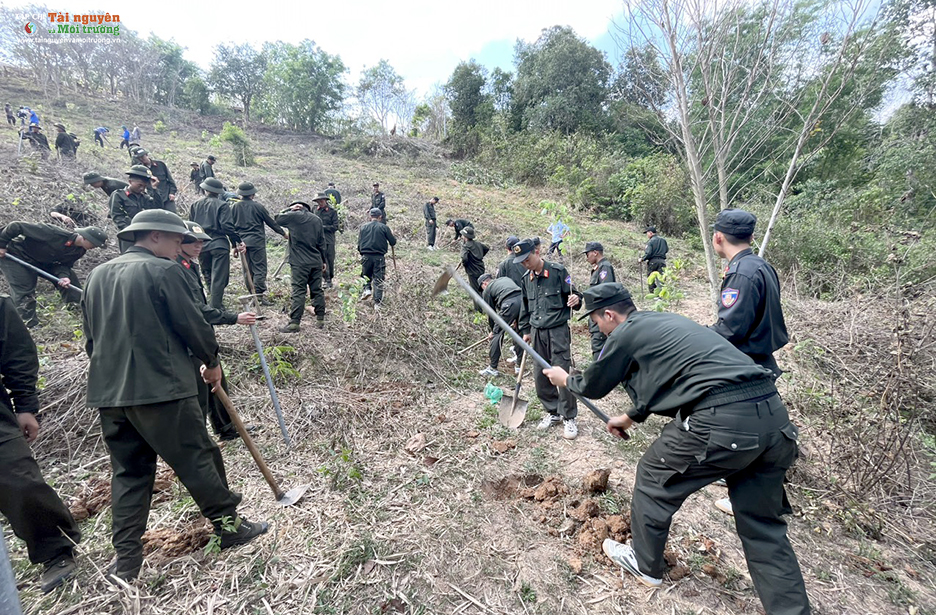 Chiến sĩ trung đoàn Cảnh sát cơ động Tây Bắc E24 tham gia trồng cây chương trình Chùa xanh