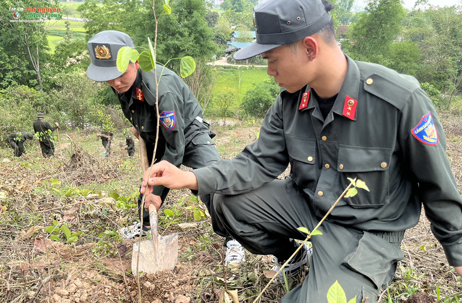 Chiến sĩ trung đoàn Cảnh sát cơ động Tây Bắc E24 tham gia trồng cây chương trình Chùa xanh