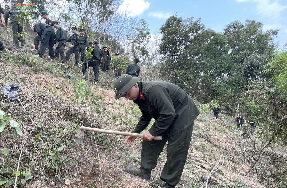 Chiến sĩ trung đoàn Cảnh sát cơ động Tây Bắc E24 tham gia trồng cây chương trình Chùa xanh