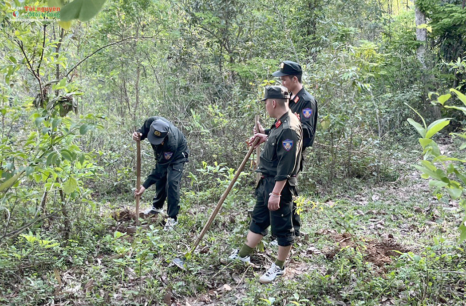 Chiến sĩ trung đoàn Cảnh sát cơ động Tây Bắc E24 tham gia trồng cây chương trình Chùa xanh