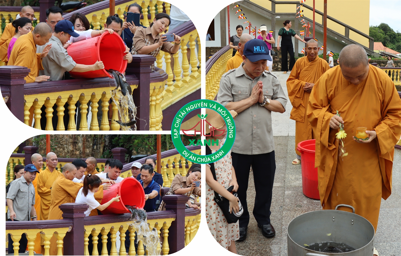 chương trình mang ý nghĩa giá trị nhân văn sâu sắc và lan tỏa về tình yêu thiên nhiên, yêu môi trường