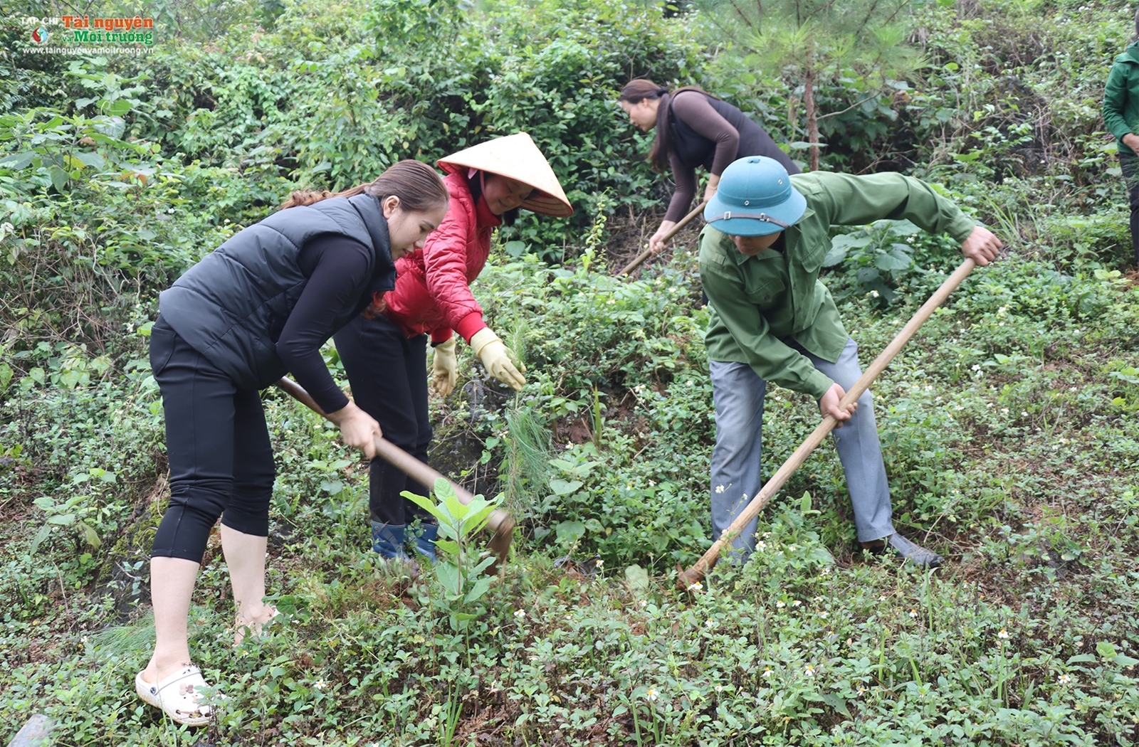 Phóng sự ảnh Tạp chí Tài nguyên và Môi trường trồng cây tại chùa Phật Tích Trúc Lâm Bản Giốc, Cao Bằng