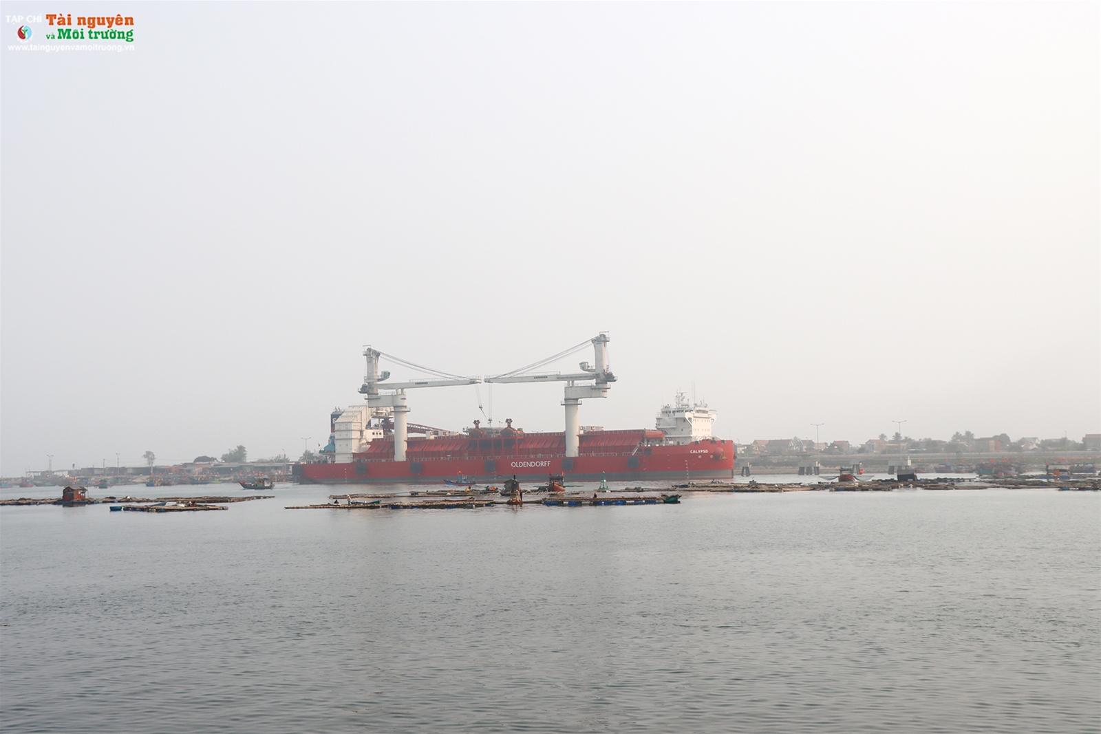 Nghi Sơn, Thanh Hoá