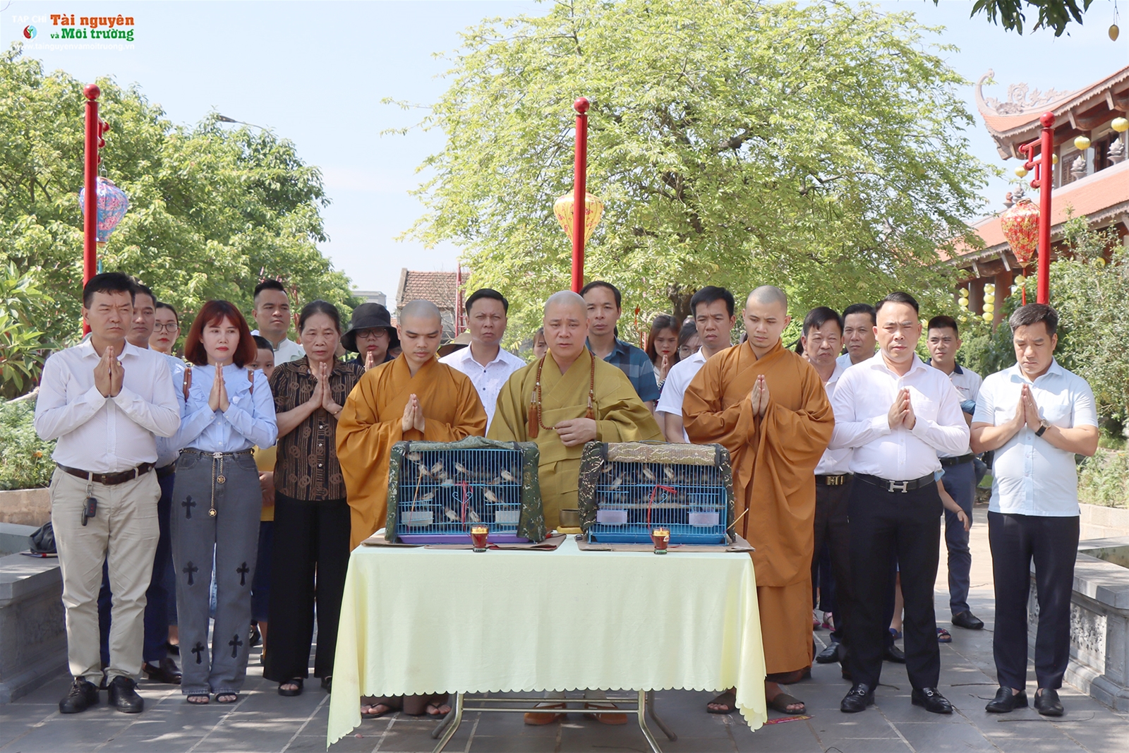 Chương trình Chùa xanh tại chùa Phúc Lâm Tiên Quán