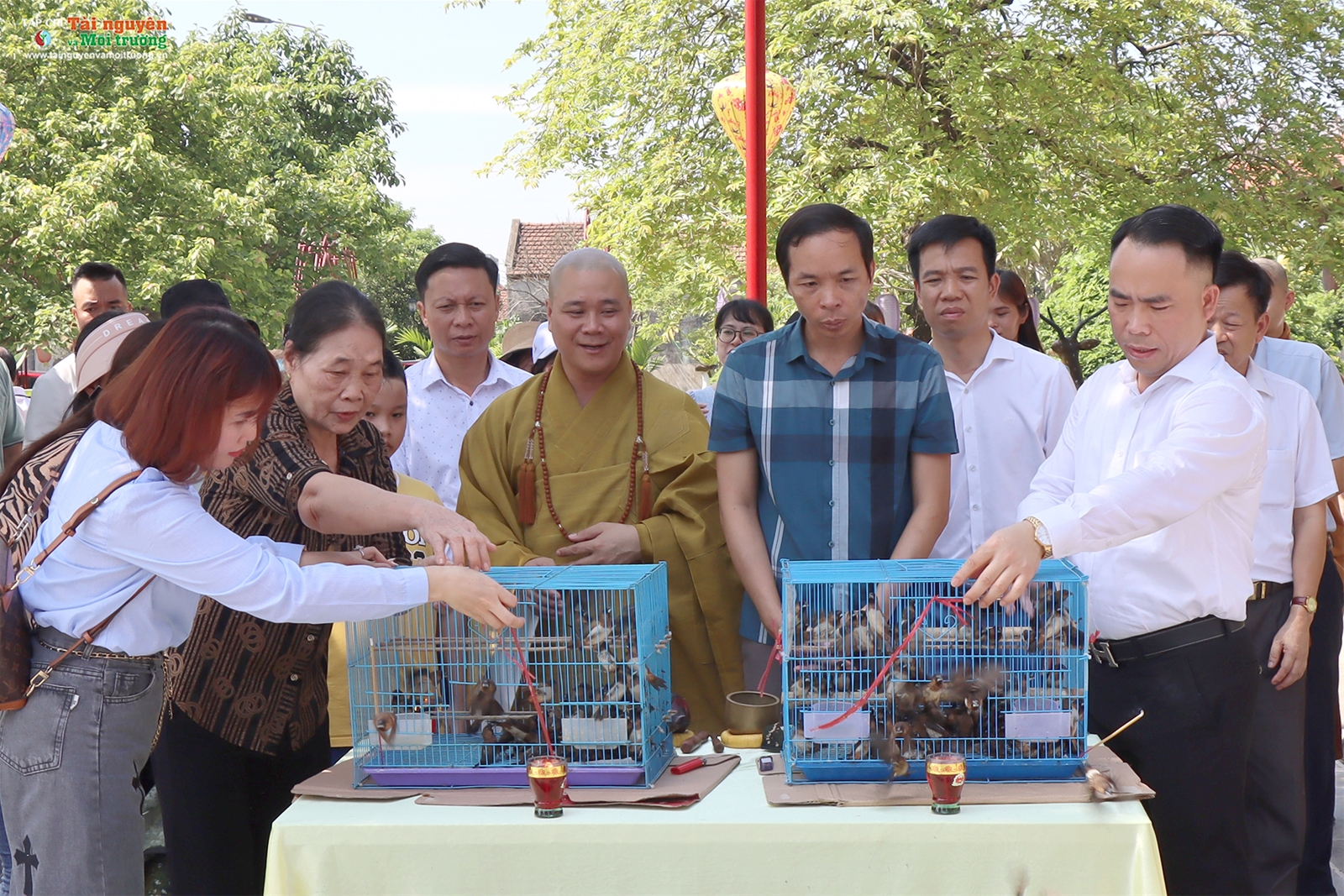 Chương trình Chùa xanh tại chùa Phúc Lâm Tiên Quán