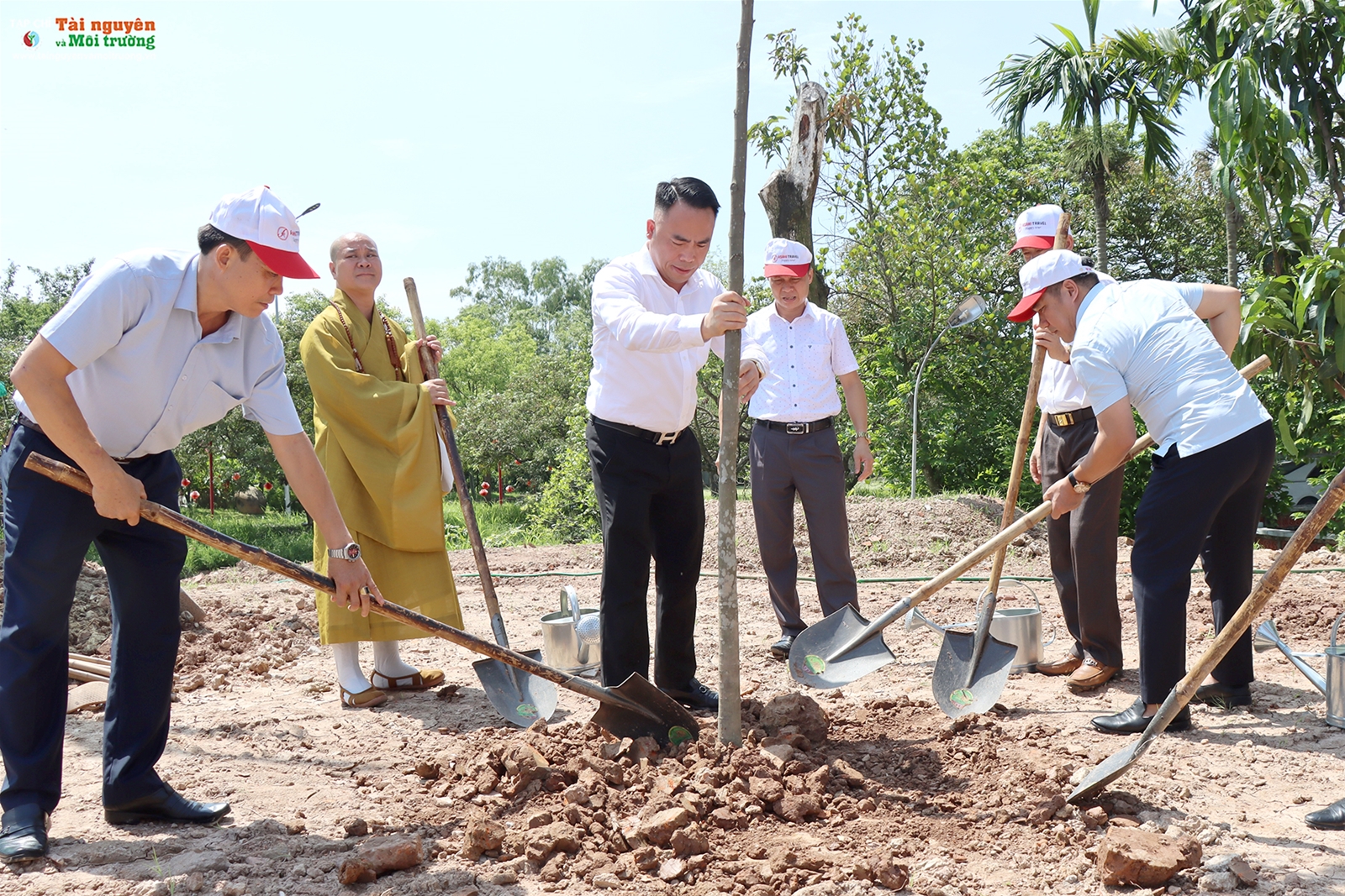 Vai trò của báo chí với vấn đề trồng cây xanh hiện nay