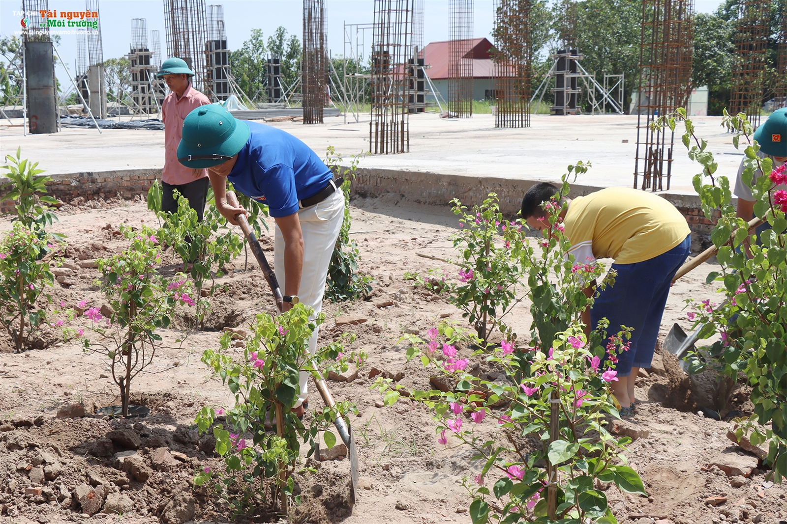 Chương trình Chùa xanh tại chùa Phúc Lâm Tiên Quán