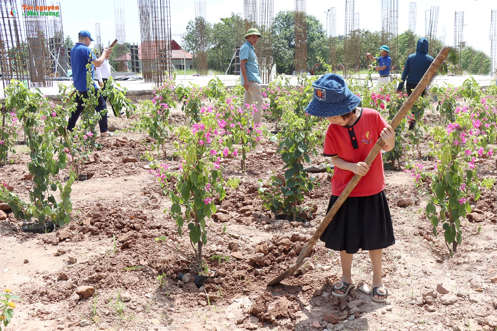 Chương trình Chùa xanh tại chùa Phúc Lâm Tiên Quán