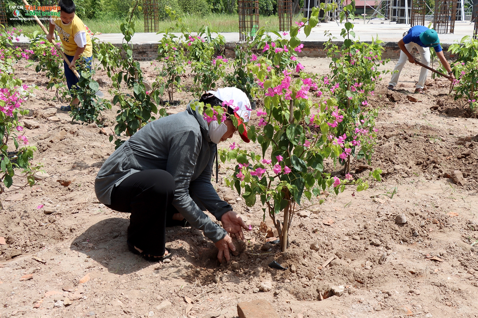 Chương trình Chùa xanh tại chùa Phúc Lâm Tiên Quán