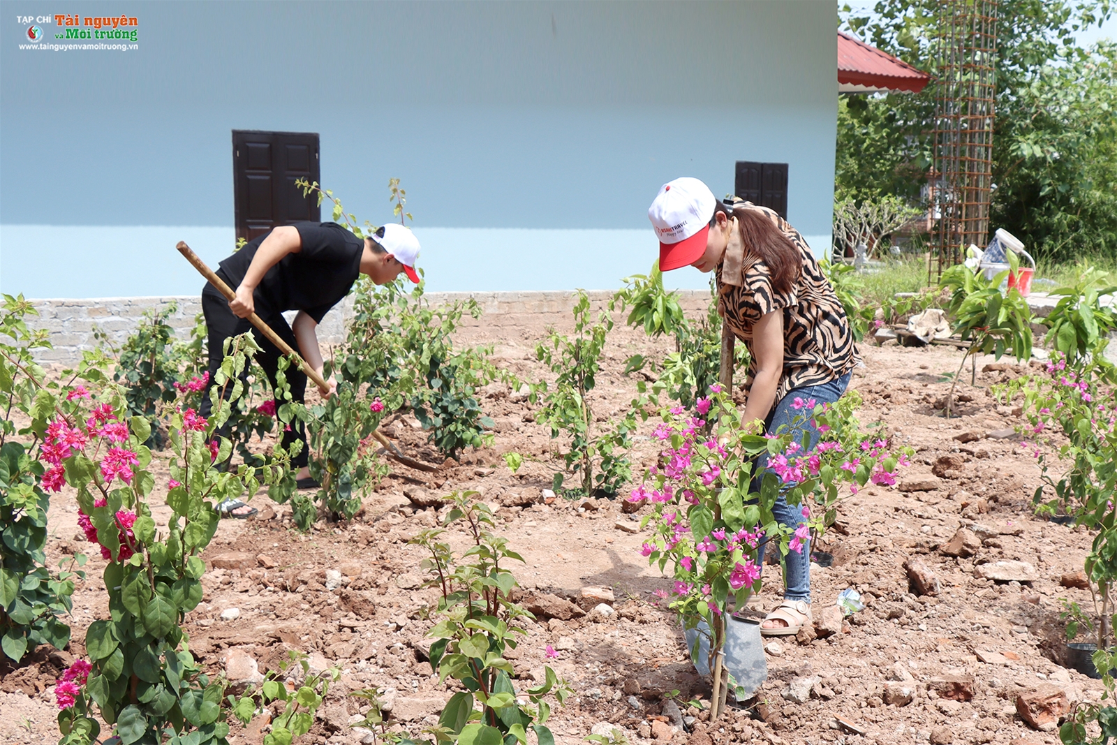 Chương trình Chùa xanh tại chùa Phúc Lâm Tiên Quán