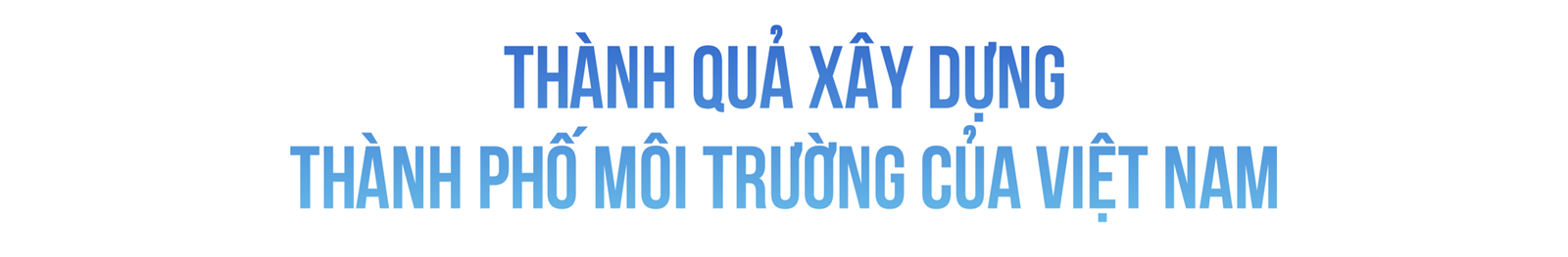 Nghị quyết 24