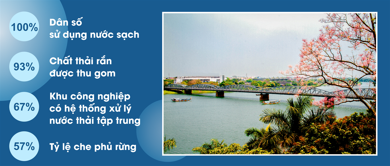 Nghị quyết 24