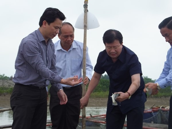 Chất xúc tác đổ tiền vào bất động sản