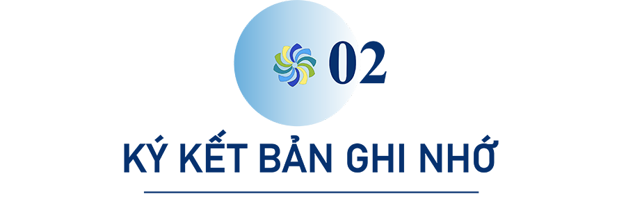 COP28