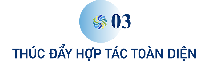 COP28