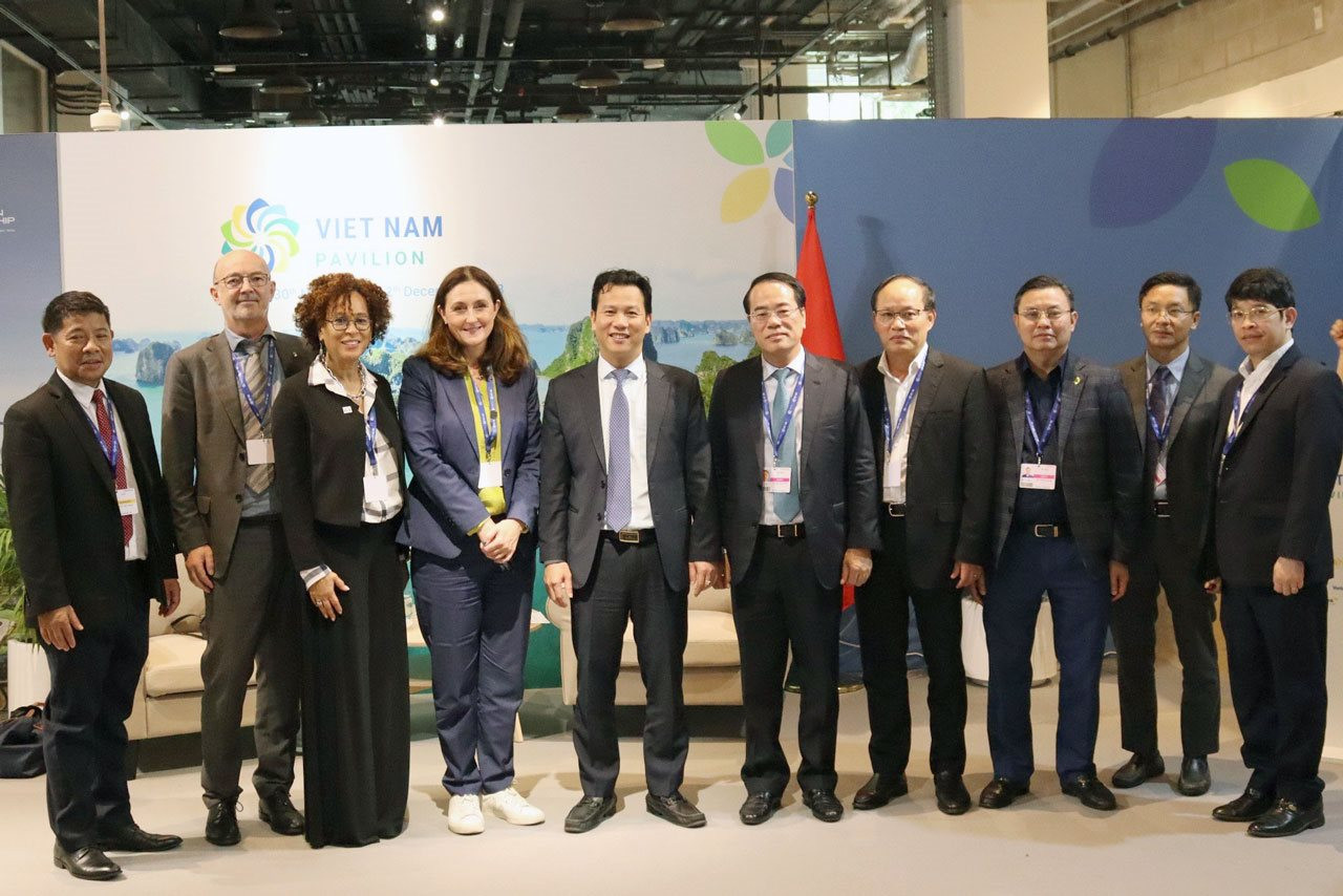 COP28